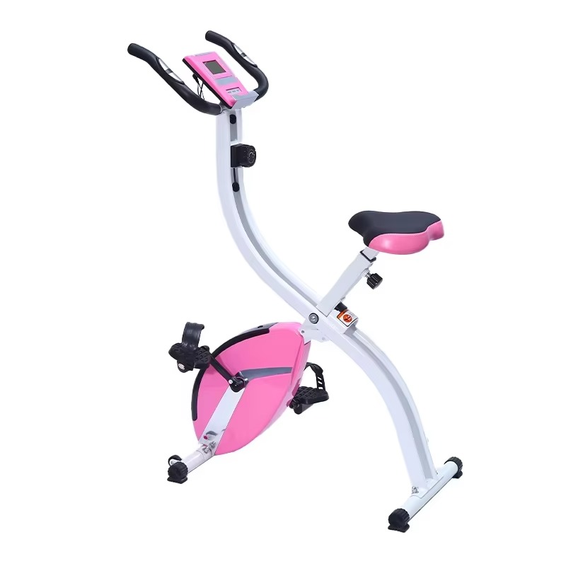 Health Wellness Gym - Bicicletta stazionaria controllata magnetica - Biciclette