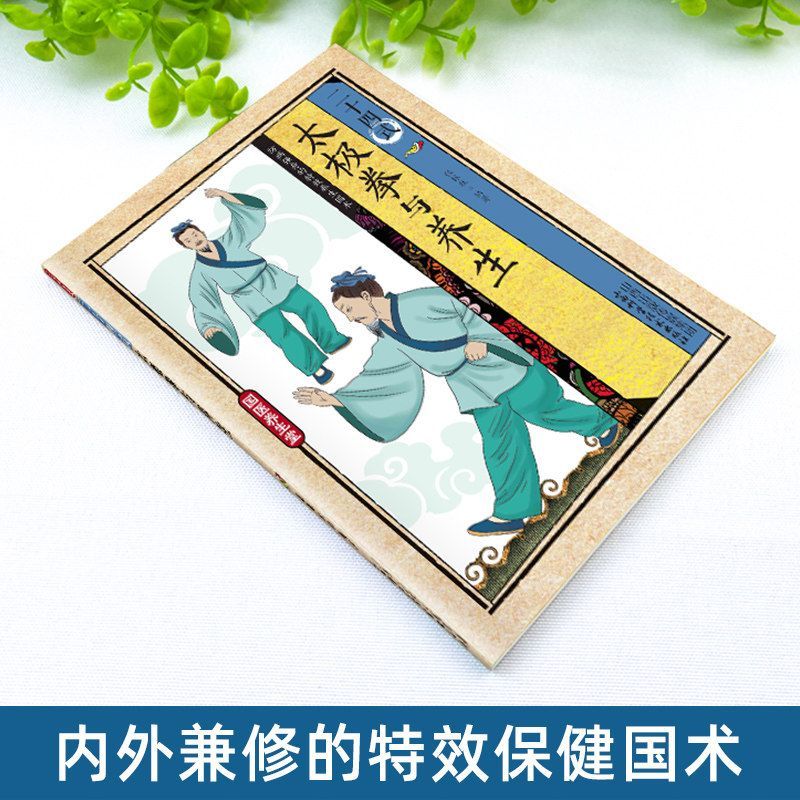 24 Stili di Tai Chi ed Eserciz - Health & Wellness Lions recensione e prezzo