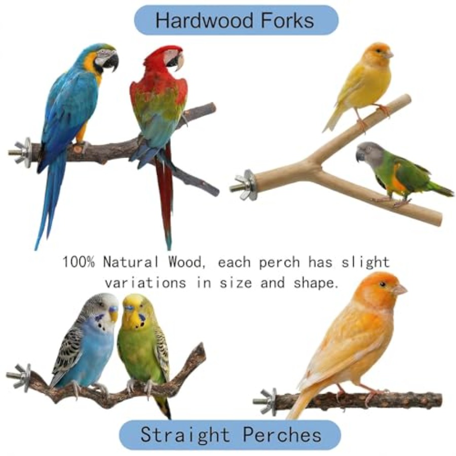 8 posatoi in legno naturale pe - Health & Wellness Lions recensione e prezzo