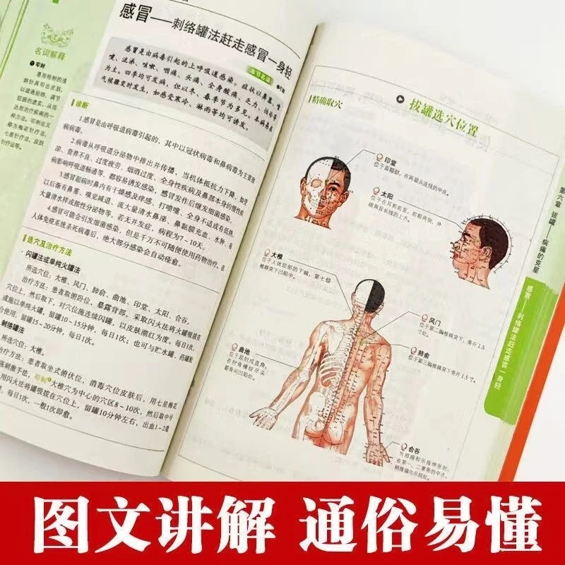Serie di salute e benessere ol - Health Wellness Guide recensione e prezzo